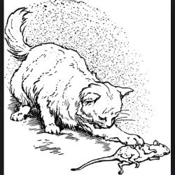 Cat hunting is trained by the kitten's mother