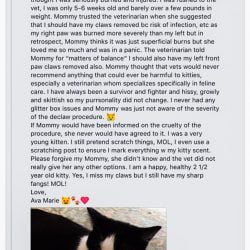 Declawed kitten story. Very Sad