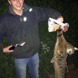 Student at Agricultural College Allegedly Killed Lecturer's Cat and Continued with Course