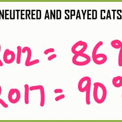 Percentage neutered cats UK