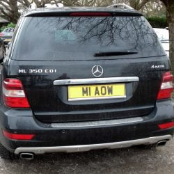 Ultimate cat owner's vehicle registration plate