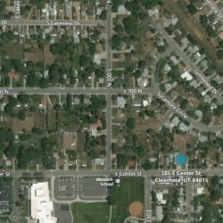 Two more cats were tortured in a similar way to Sage and at a similar time