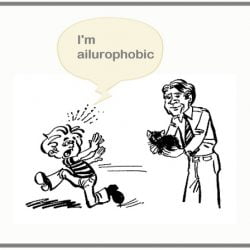 How to Cure Ailurophobia?