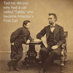 Did Abraham Lincoln Have Any Pets?