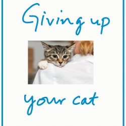 Failure in cat ownership