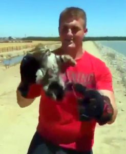 Man allowed himself to be filmed committing animal cruelty crime