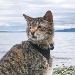 Oskar enjoys the outdoors