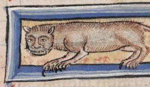 Mediaeval cat paintings: ugly anthropomorphized depictions