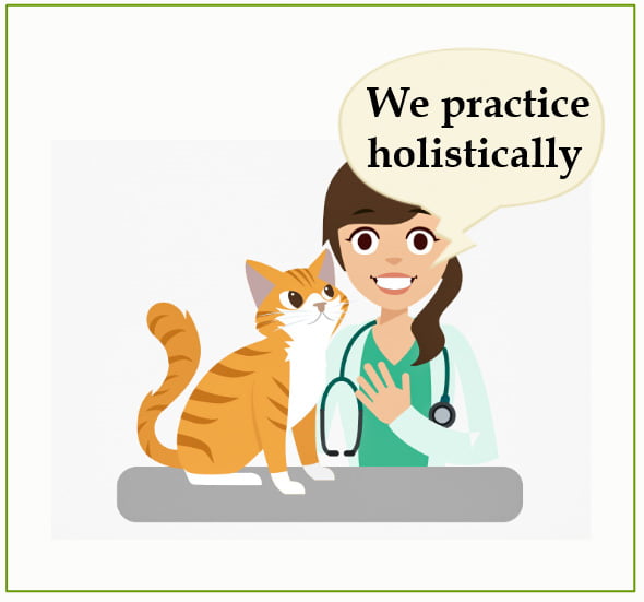 Veterinarian provides cat behavior classes