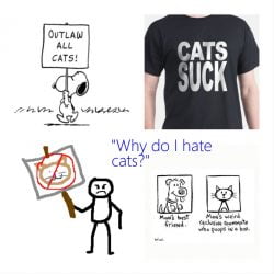 Why do I hate cats?