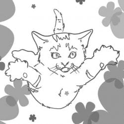 Highest A Cat Has Fallen And Survived