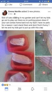 Woman posts on Facebook that she will poison cats who poo in her garden