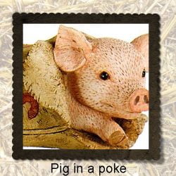 Never buy a pig in a poke meaning