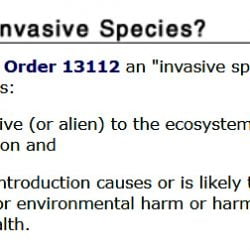 By Definition Domestic Cats Are Not an Invasive Species