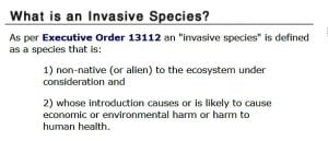 By Definition Domestic Cats Are Not an Invasive Species