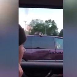 cat clings to roof of van at 60 mph