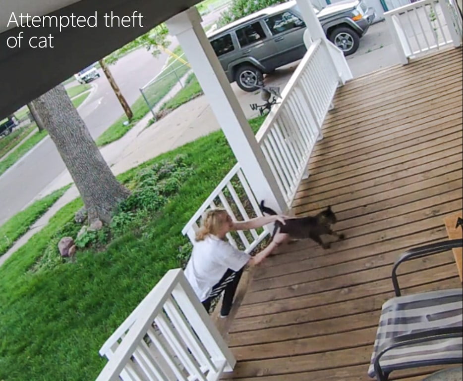 Attempted theft of a cat on a front porch caught by CCTV