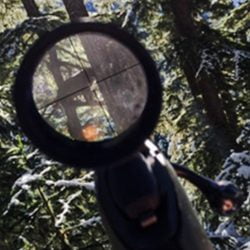 bobcat in the sights of a kill 'em boyz shooter