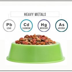 UK pet food is non-compliant with EU standards on mineral composition