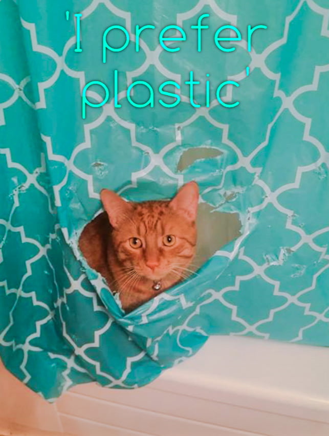 Picture of ginger cat looking through hole in shower curtain he made