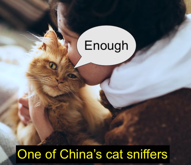Cat sniffer in China