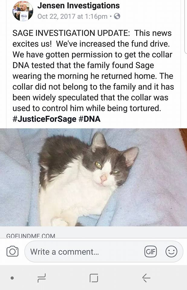 Announcement by Jensen of DNA testing of collar worn by Sage.