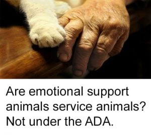 Are emotional support animal service animals?