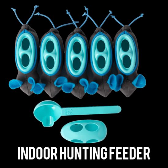 Indoor hunting feeder no bowl system