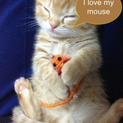 kitten with mouse