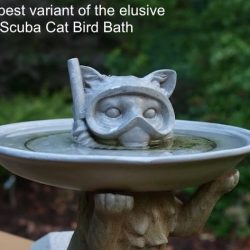 Scuba diving bird bath