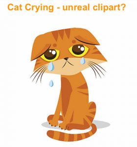 Clipart cat crying