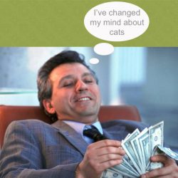 Cats promote business!