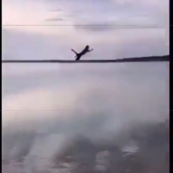 Male teenager finds it funny to throw cat as far as he can into a lake