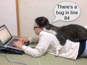 Why programmers are obsessed with cats
