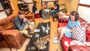 Cat Cafe
