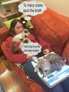 Computer programmer likes cats