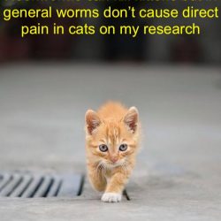 Do worms cause pain in cats?
