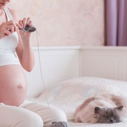 Toxoplasmosis cats pregnant women