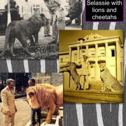 Haile Selassie with lions and cheetahs