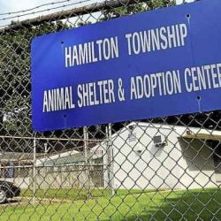Hamilton Township animal shelter
