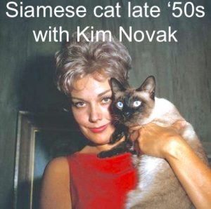 Kim Novak and Pyewacket late 50s