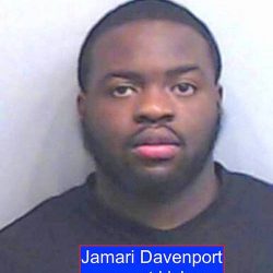 The face of a cat kicker