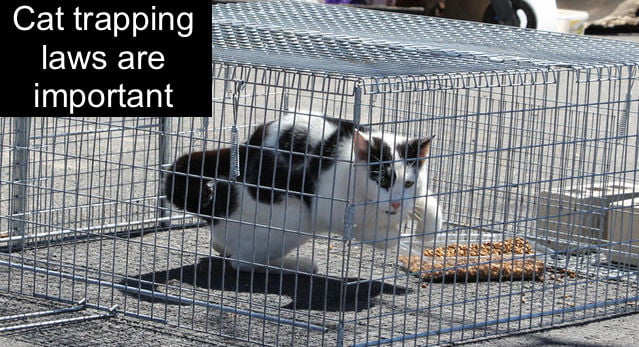 Cat trapping law