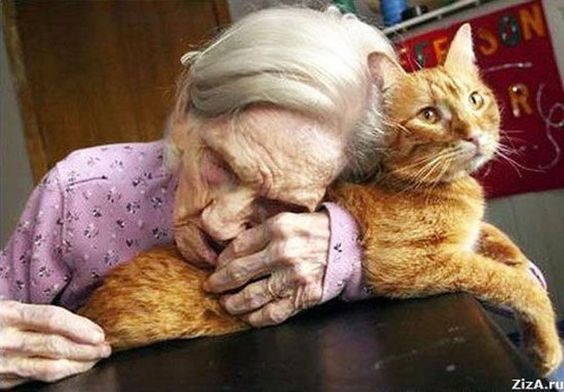 Photographs of old ladies and their cats