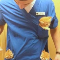 Perks of working at an animal hospital