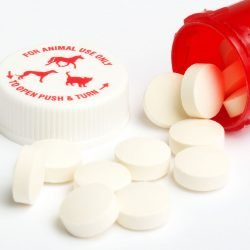 Pill for cats and dogs