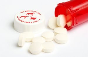 Pill for cats and dogs
