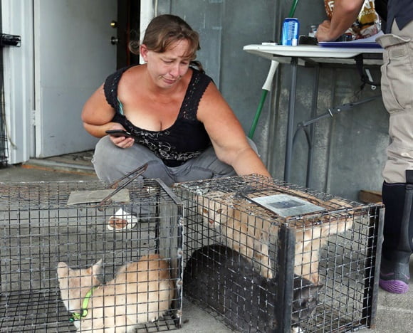 Tammie with some of the rescued cats. Photo courtest Casey Mozingo