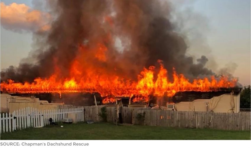 Chapman's Dachshund Rescue burnt down