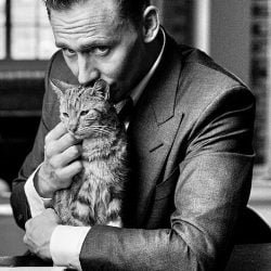 Hiddleston kisses a cat
